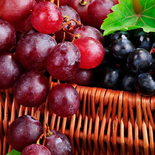 Propiedades y beneficios de la uva